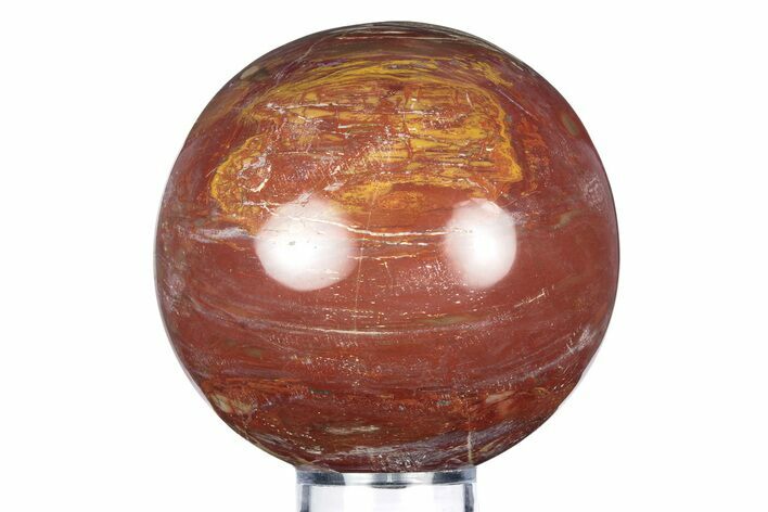 Colorful Petrified Wood (Araucaria) Sphere - Madagascar #341845